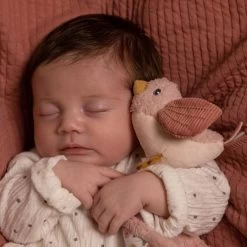 Little Dutch LD Cuddle Cloth Flowers & Butterflies 8 Little Dutch LD Cuddle Cloth Flowers & Butterflies -Baby Products Sale Store 0014089 little dutch cuddle cloth flowers butterflies flowers butterflies 1