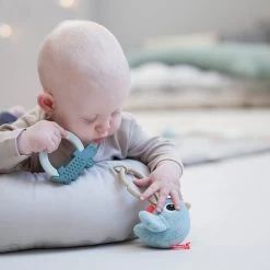 Done By Deer Cozy Lounger & Activity Arch -Baby Products Sale Store Cozy lounger with activity arch Raffi Powder 8 LS 700x 01322092 7b16 4cda 8297 69b2d039d607