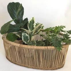 Moses Basket Ethereal Collection 8 Moses Basket Ethereal Collection -Baby Products Sale Store Ethereal Zen moses basket 0 1024x1024 2x 6f1c45b4 6752 4cb4 ad07 005b5d54f376