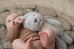 Heartbeat Comforter -Baby Products Sale Store FlowAmsterdammilokonijn