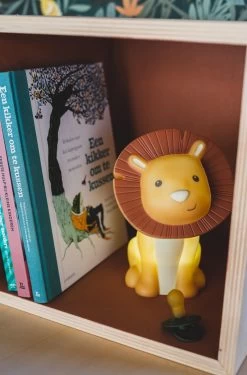 Money Box Hakuna Lion -Baby Products Sale Store HK 630 05 0