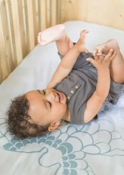 Fitted Sheet Witlof For Kids 120 X 60 -Baby Products Sale Store Ledikanthoeslaken Fly High Dusty Blue 2