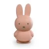 Money Box Miffy 1 Money Box Miffy -Baby Products Sale Store MND 1317