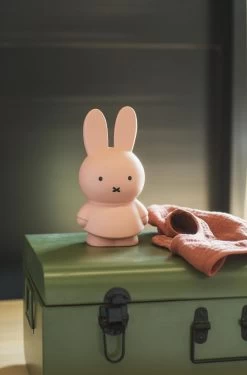 Money Box Miffy -Baby Products Sale Store MND 1317 01