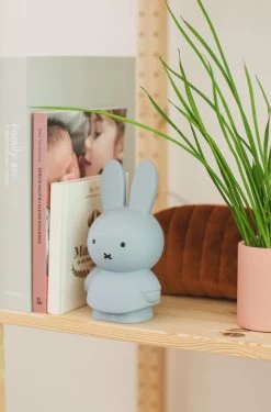Money Box Miffy -Baby Products Sale Store MND 1517 02