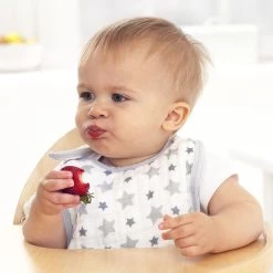 Aden + Anais Aden & Anais Nibble Snap 3 Pack 11 Aden + Anais Aden & Anais Nibble Snap 3 Pack -Baby Products Sale Store Snap bib twinkle03